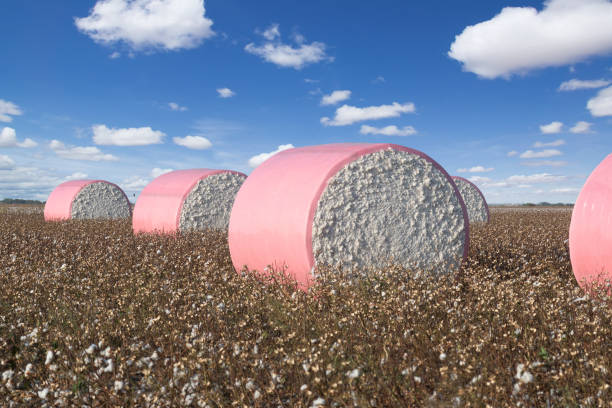 cotton bale wrap