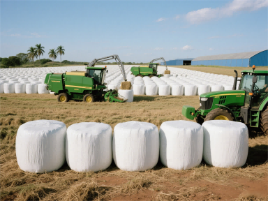 Fazendas Comerciais de Médio e Grande Porte