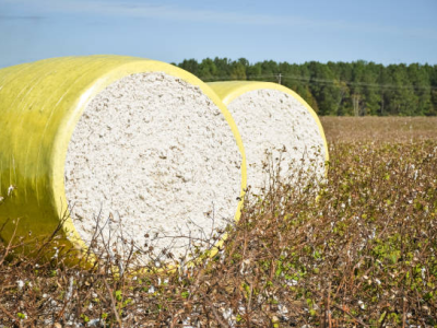 Filme para Algodão (Filme Stretch Agrícola)